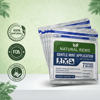 Japanase Herbal Joint Relief Patches