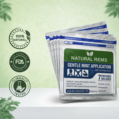 Japanase Herbal Joint Relief Patches